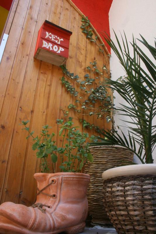 The Mellow Monkey Hostel ซาดาร์ ภายนอก รูปภาพ