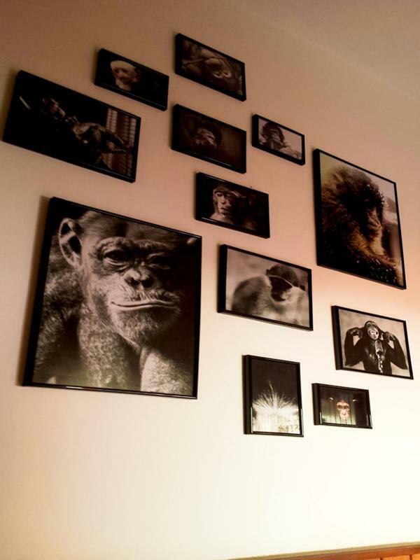 The Mellow Monkey Hostel ซาดาร์ ภายนอก รูปภาพ